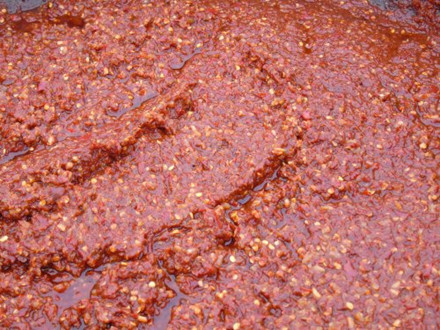 DB43/T 2079.1-2021 地理標(biāo)志產(chǎn)品 永豐辣醬 第1部分:質(zhì)量要求