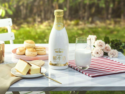 DB13/T 5102-2019 生鮮乳收購站化驗(yàn)室技術(shù)技術(shù)規(guī)范